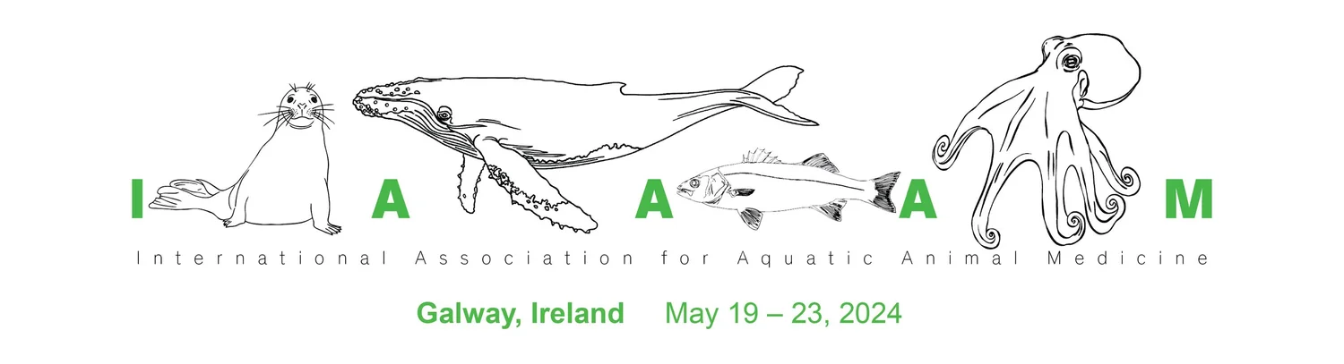 Conference Archive — IAAAM