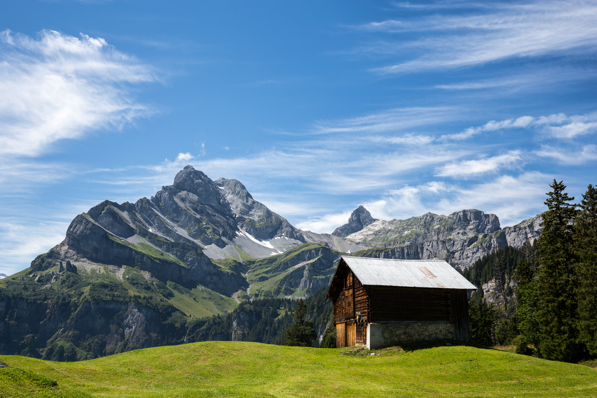 braunwald-0057.jpg