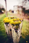img_8935-edit.jpg