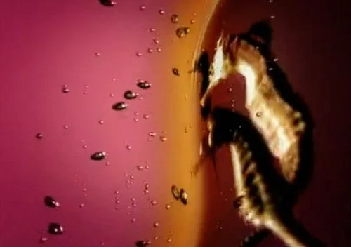 Kenny Baird (AD)- Commercial Video Reel