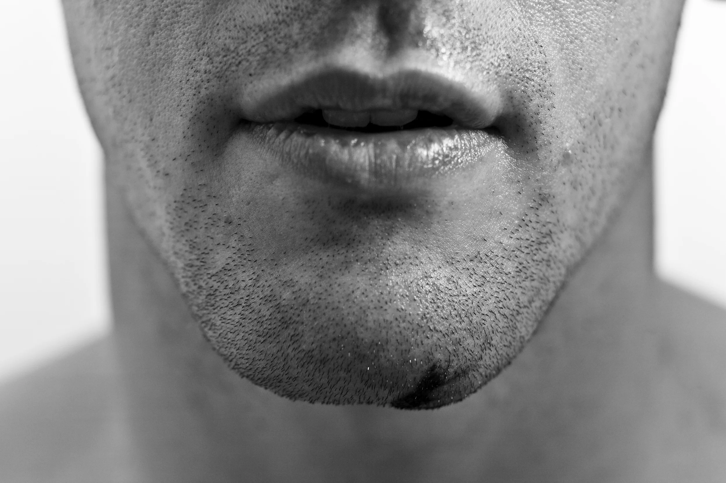 20081213_DSH_MMA_9680.jpg