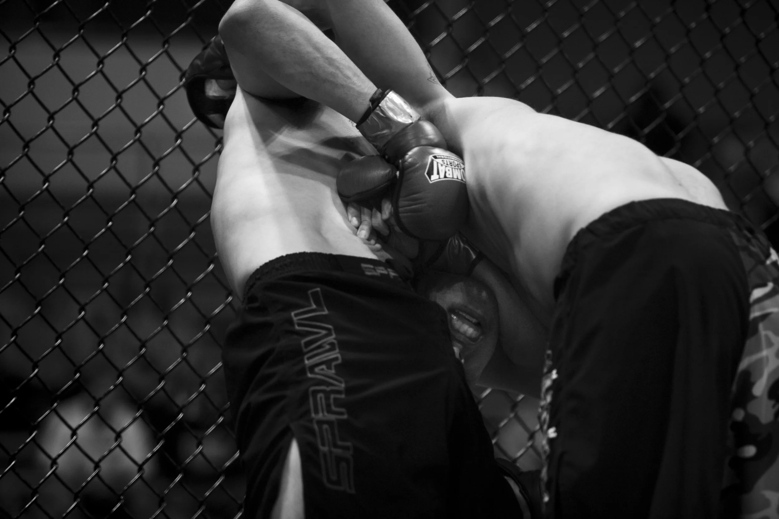 20090124_DSH_MMANJ_9945.JPG