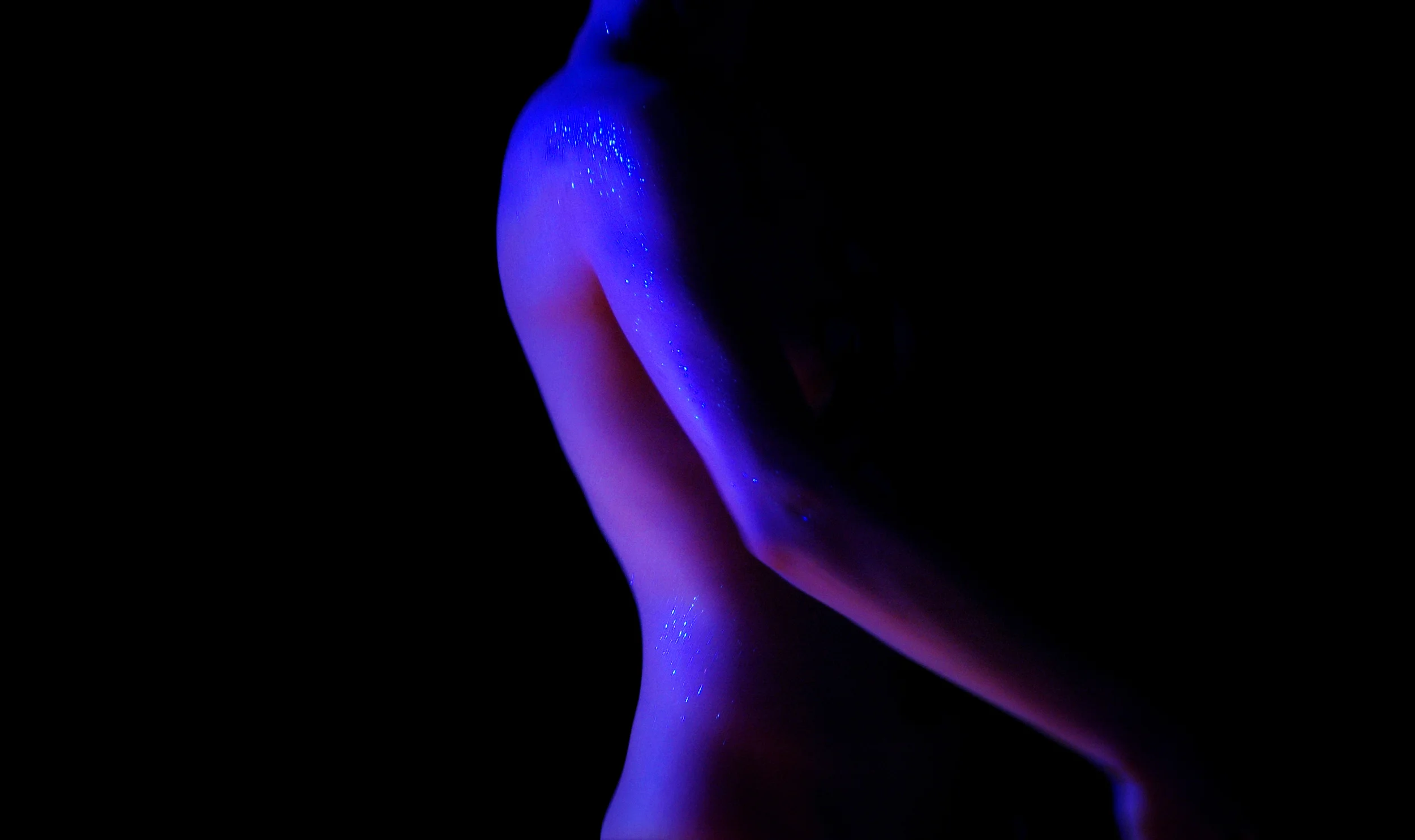 20060527_DSH_EXOTIC_2730.jpg