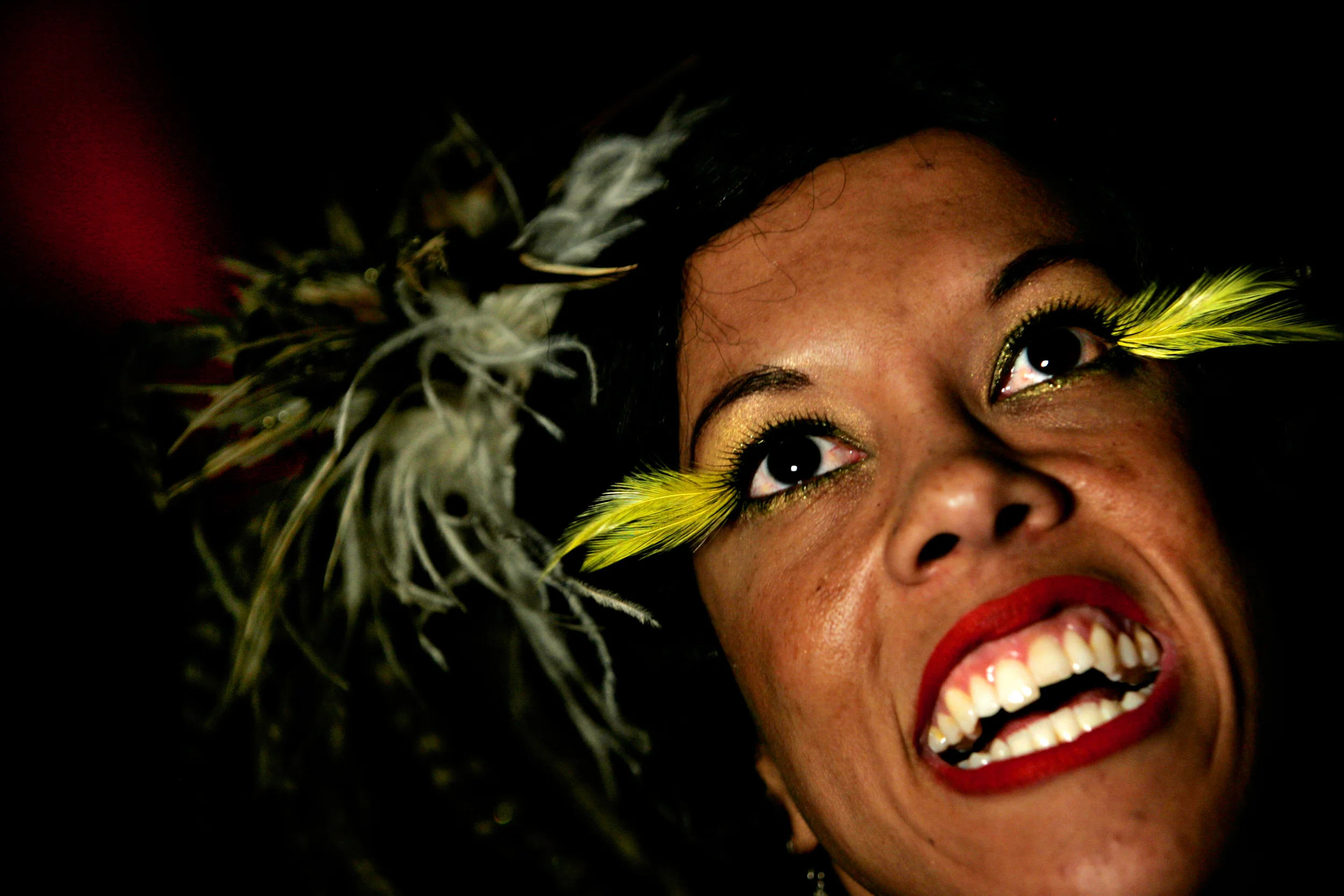 20060527_DSH_EXOTIC_6088.jpg