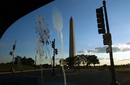 051902birdpoop.jpg