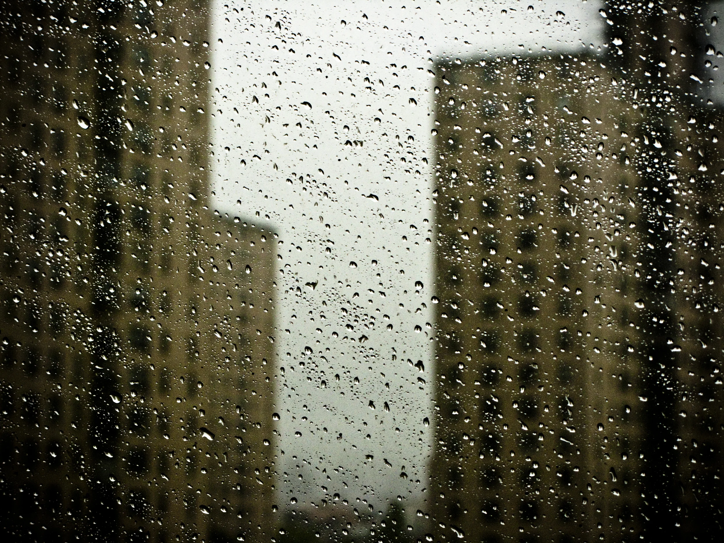 20090927_DSH_brooklyn_1659.JPG