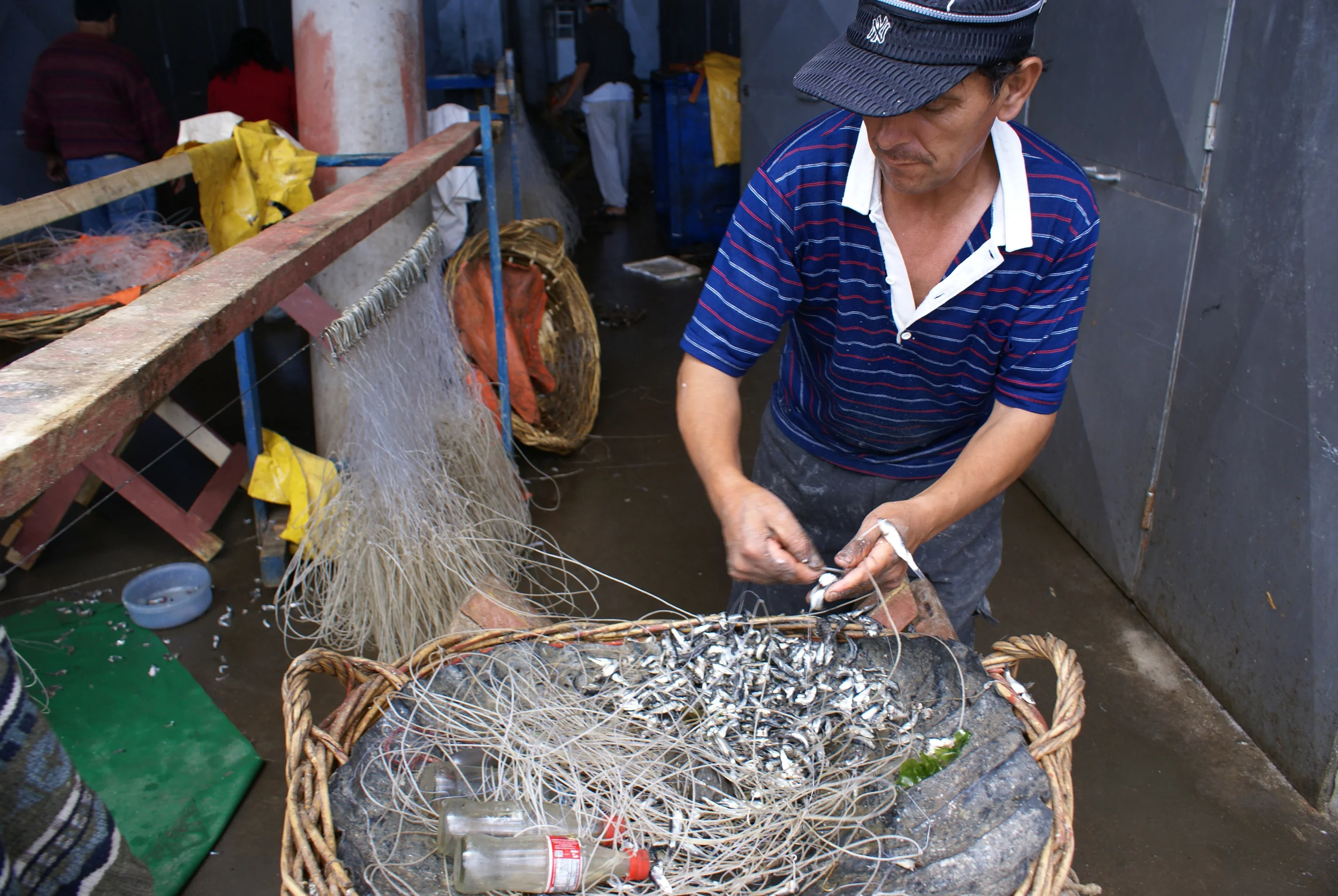 DSC02497.JPG