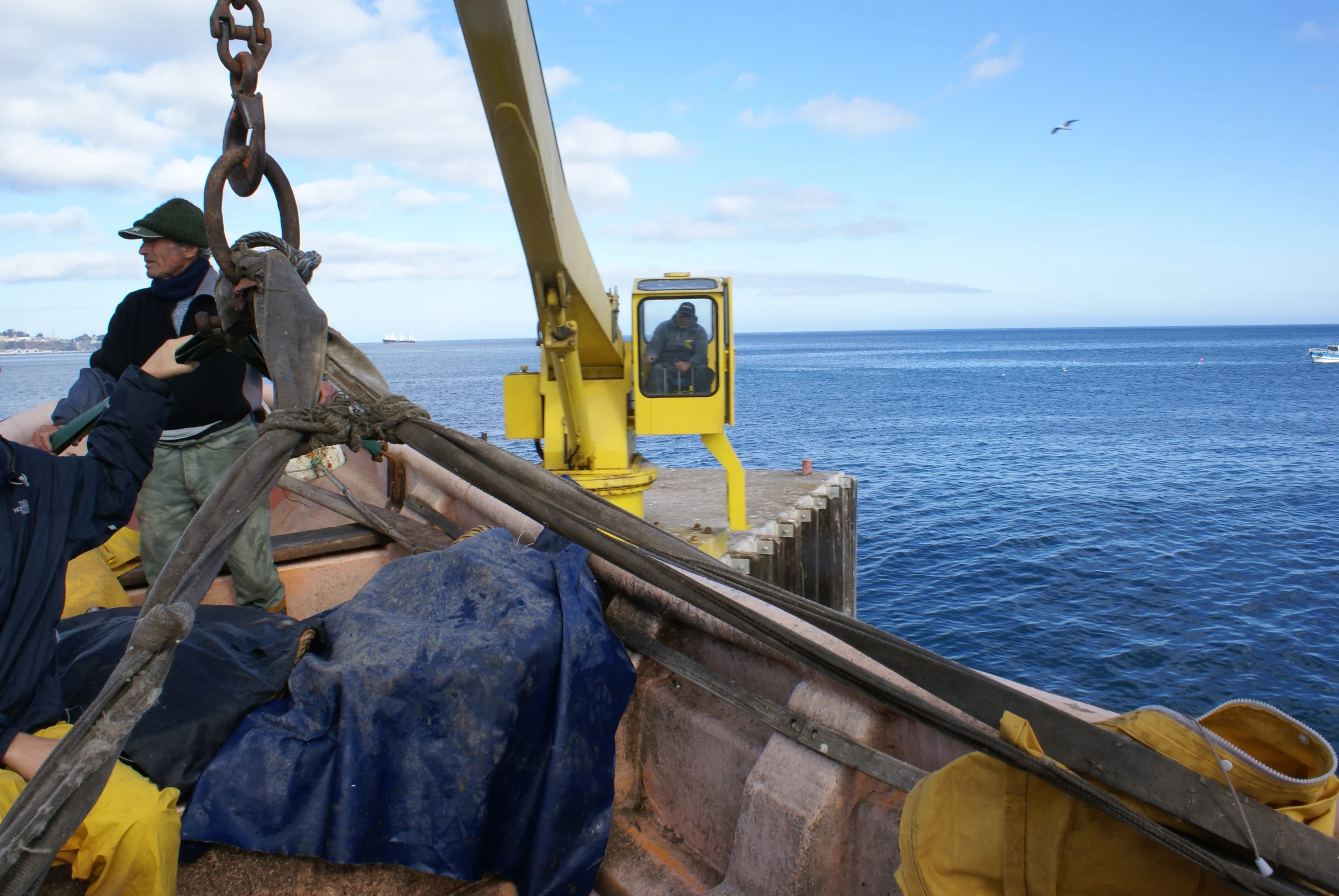 DSC02854grua.JPG
