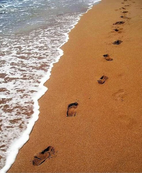 footprints_in_the_sand_op_493x600.jpg