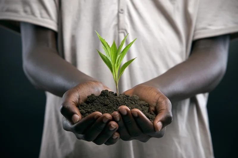african-holding-soil-with-plant-growth-full-size-i-1403714786.jpg