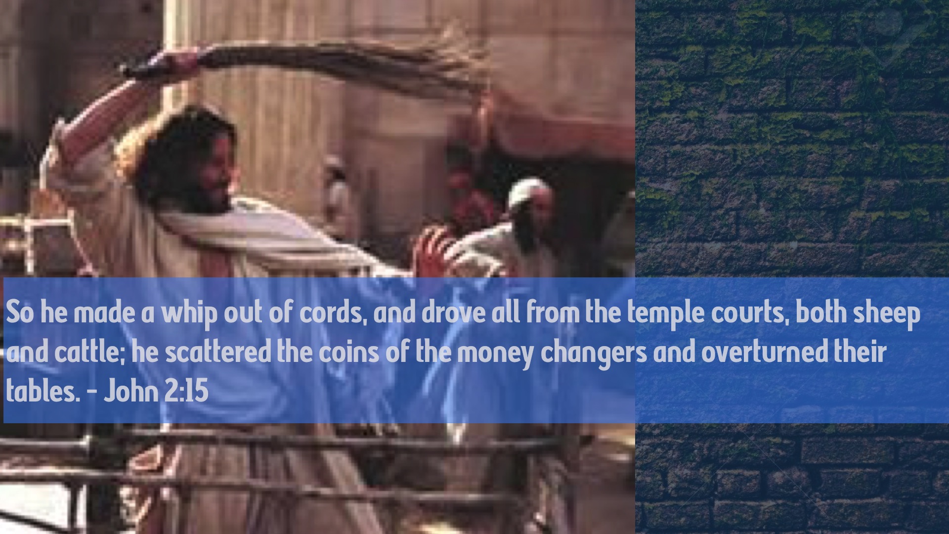 25.jpg
