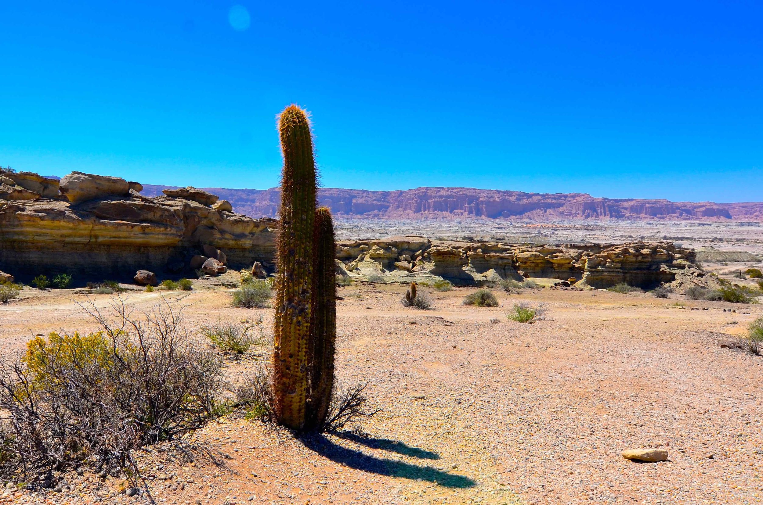 Ischigualasto_06.jpg