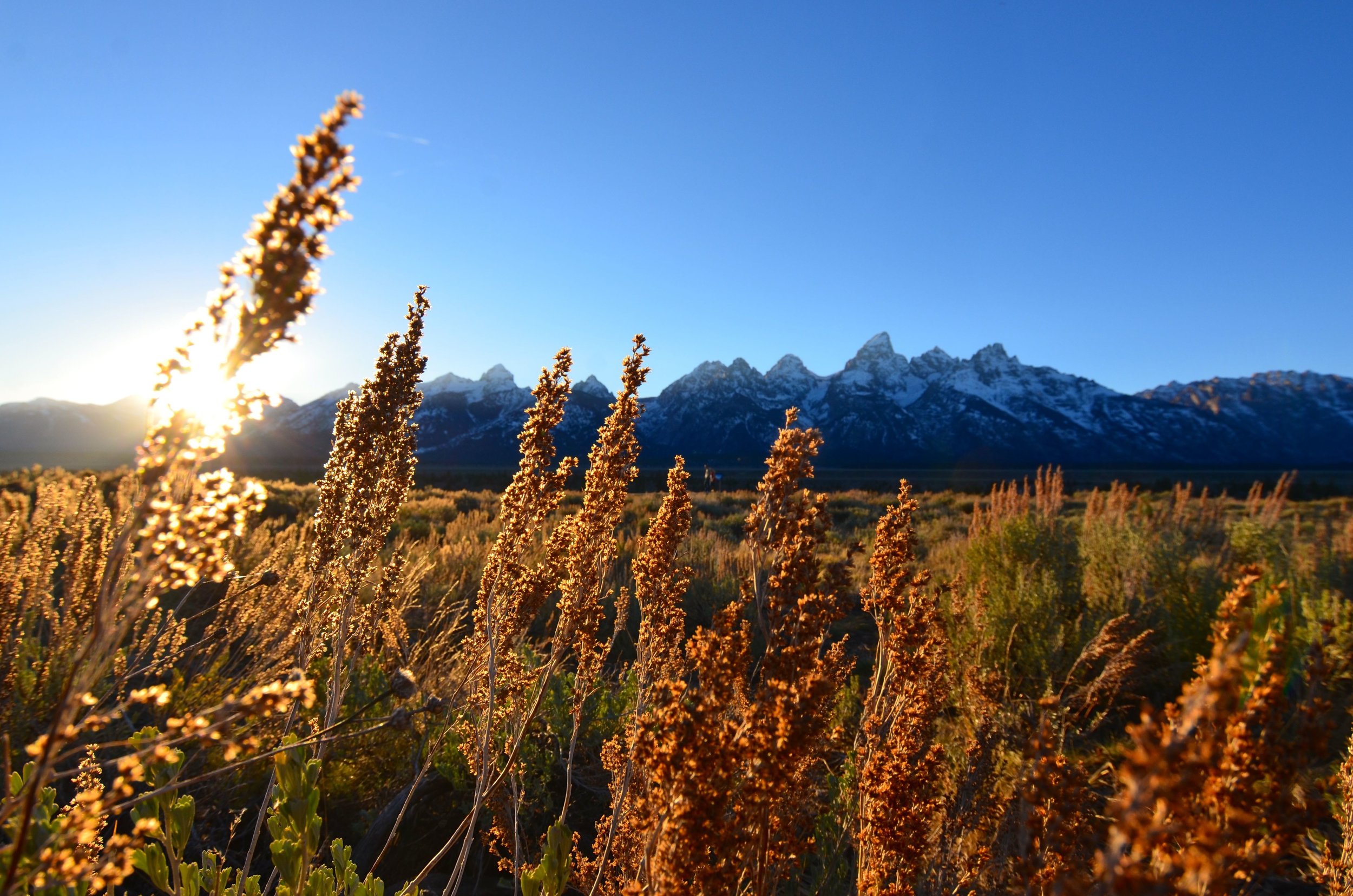 GrandTeton_05.jpg