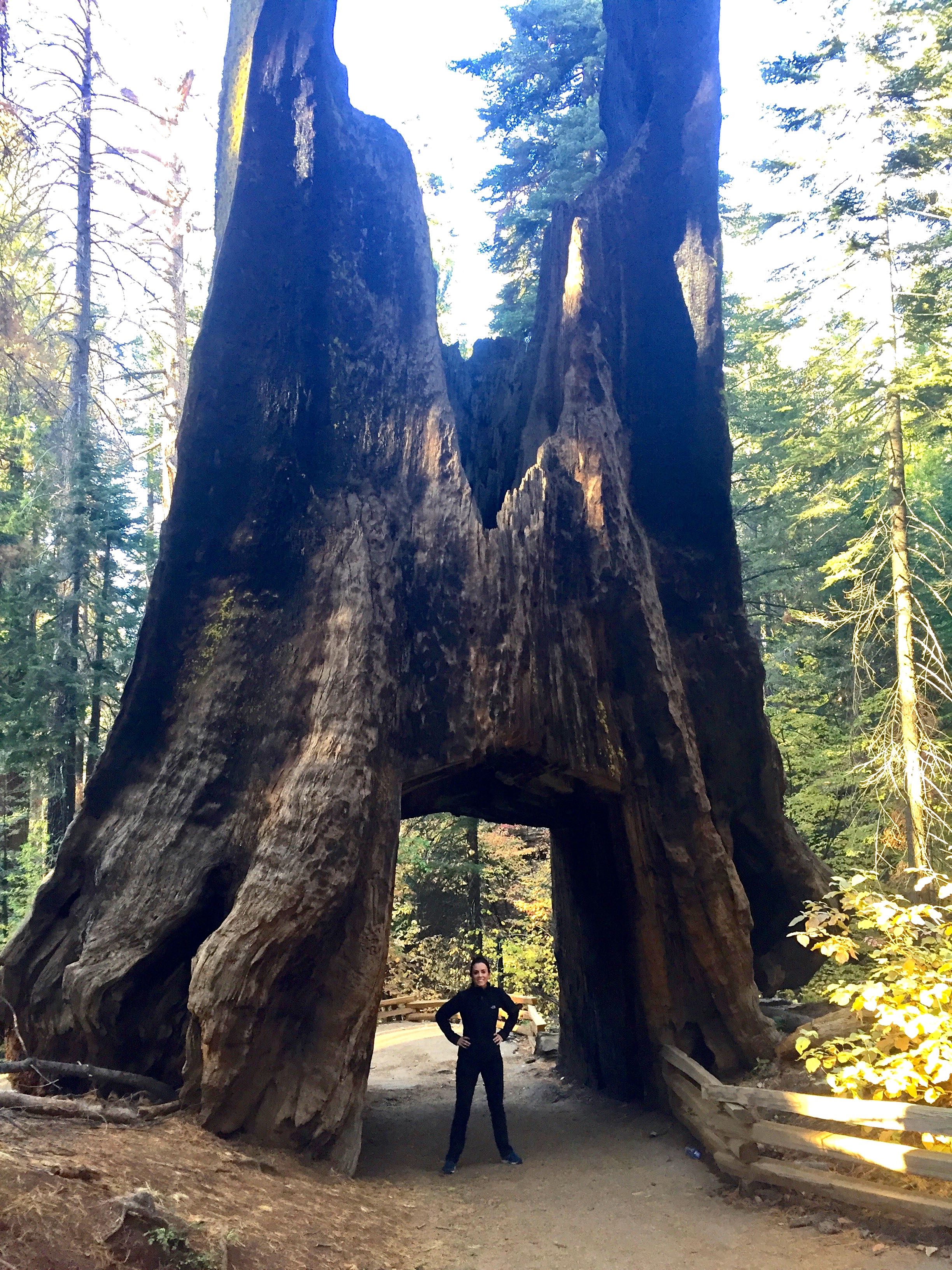 Yosemite_09.jpg