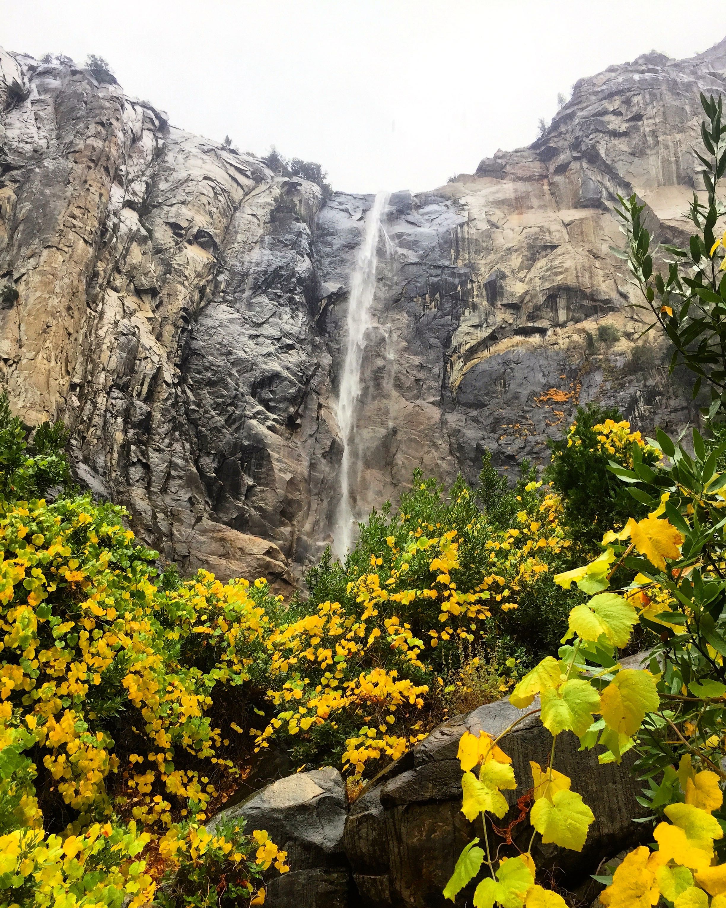 Yosemite_12.jpg