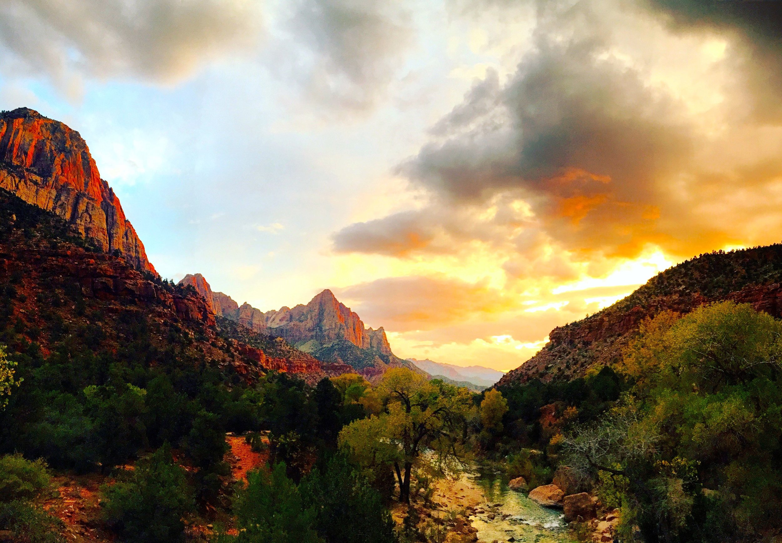 Zion_09.jpg