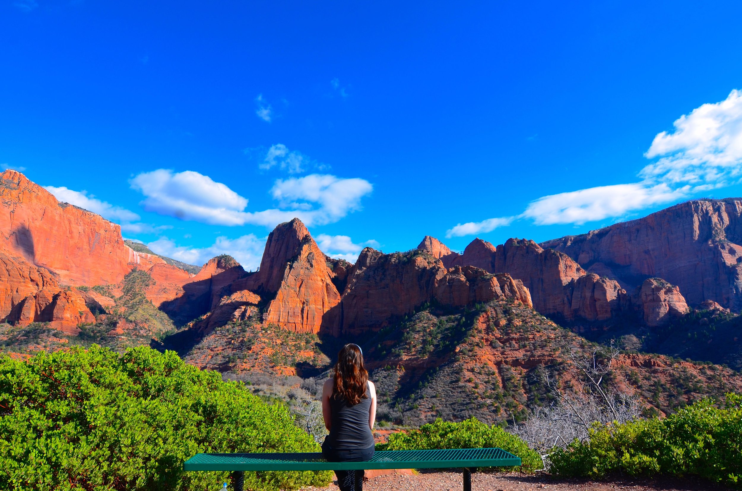 Zion_10.jpg