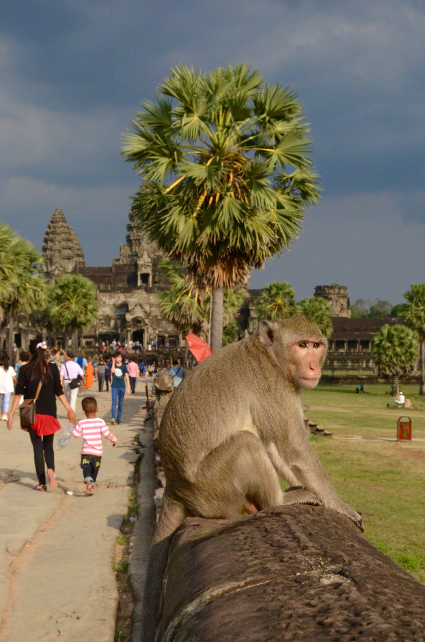 AngkorWat - 130.jpg