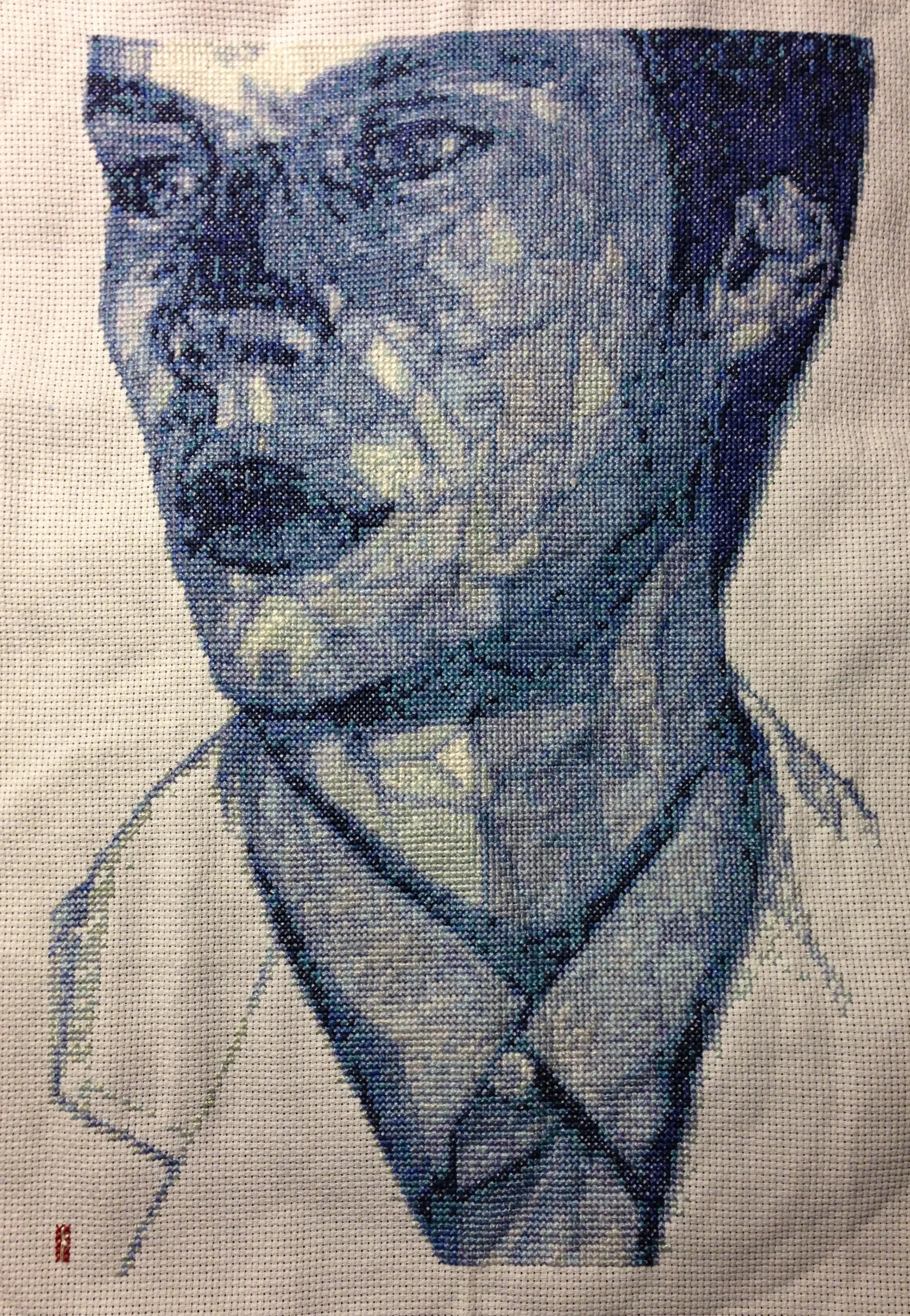 _20130121_untitled xstitch.JPG