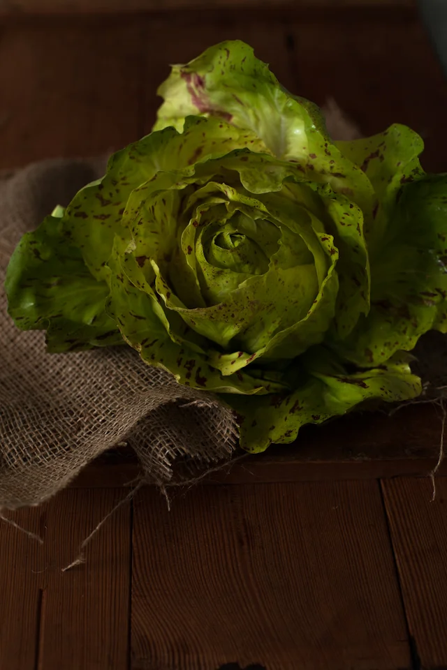 Local Roots Farm