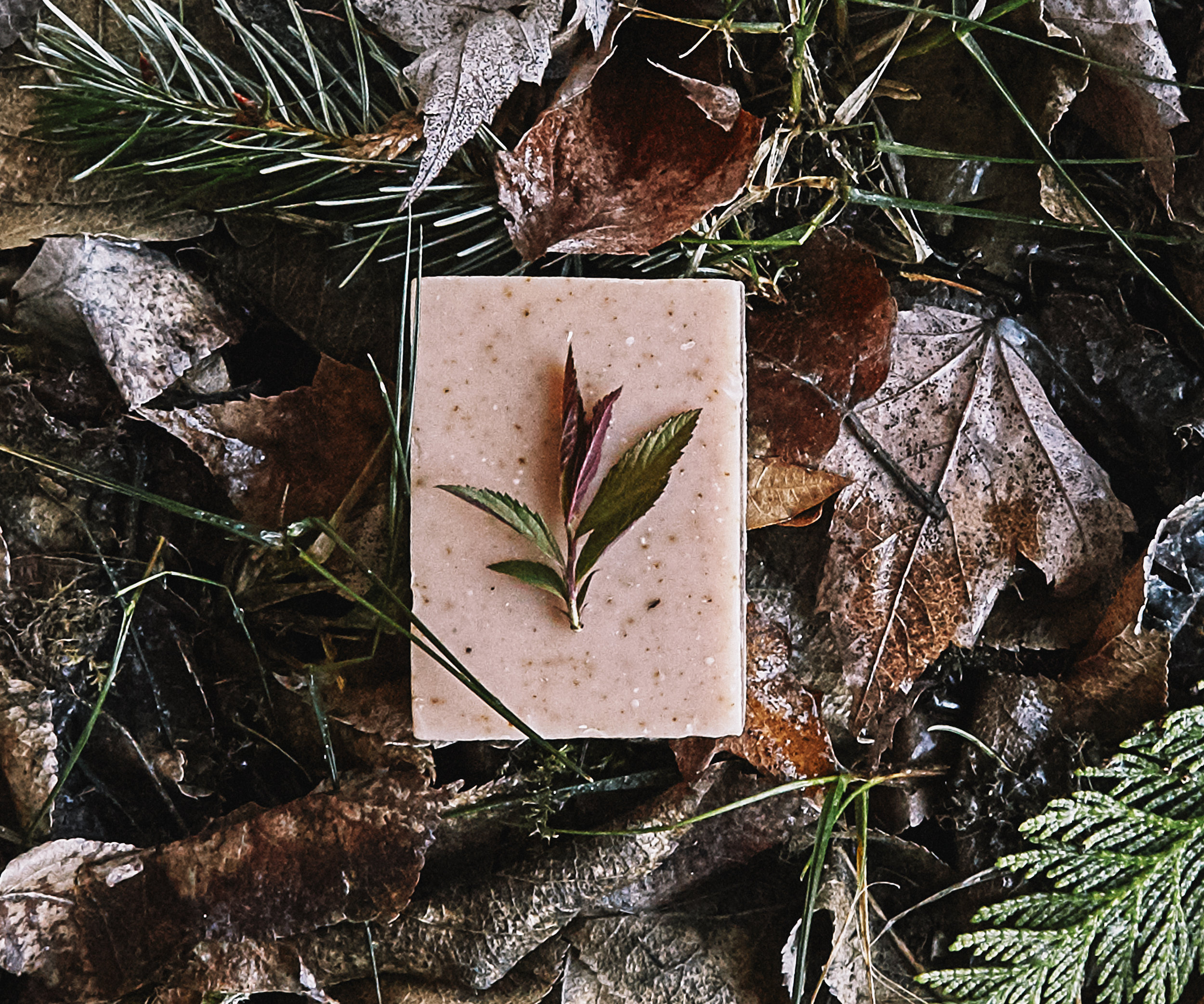 A Foraged Bath | Mountain Girl Soap 