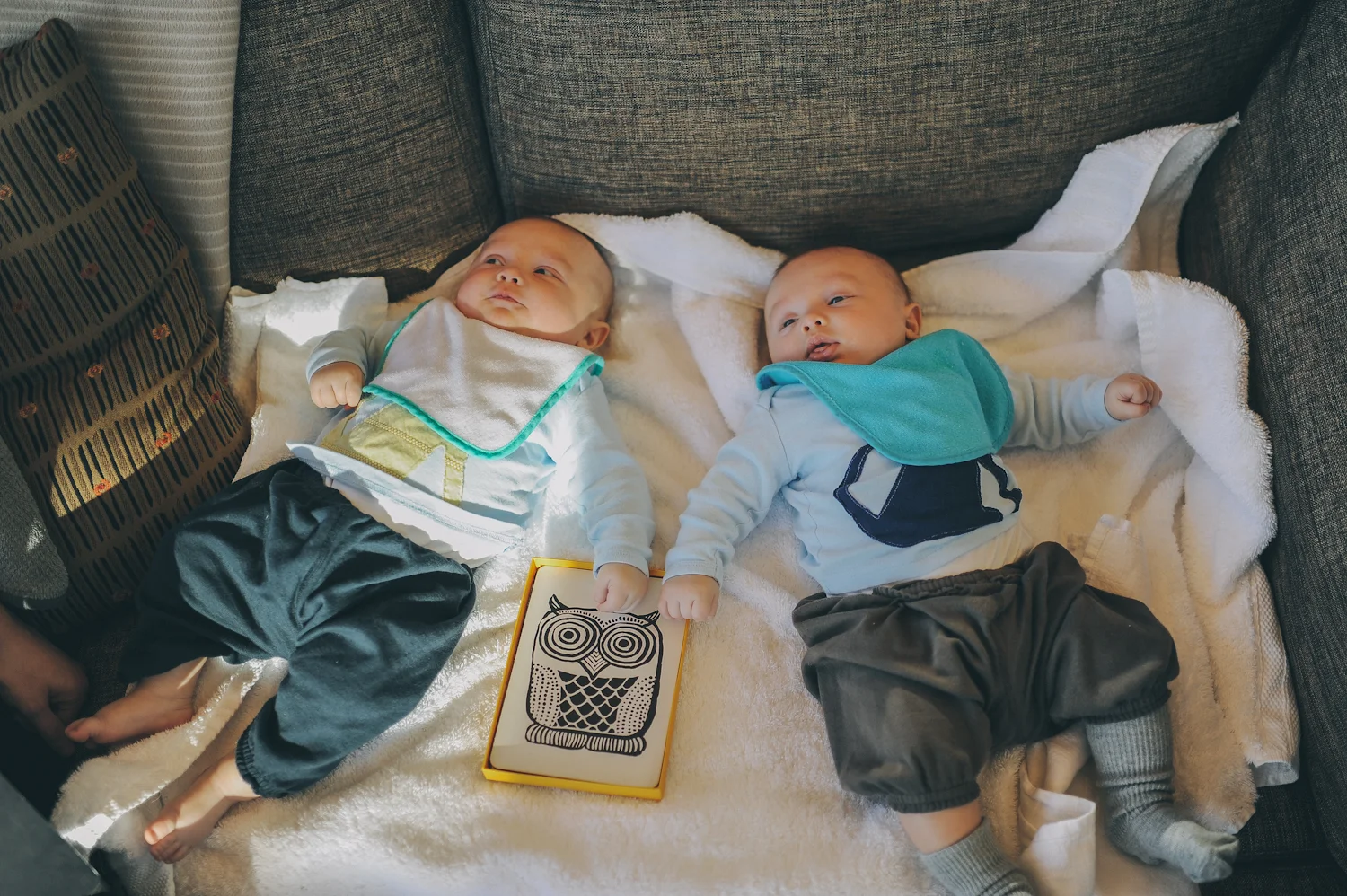 The beautiful twins. 