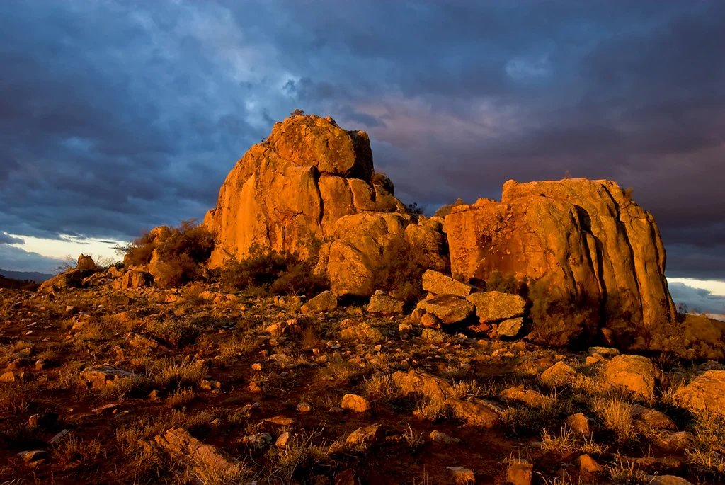 "King Of The Castle", by Renee Holmes