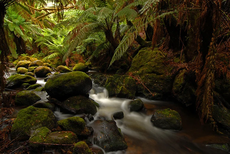 "North West River", by Ross Holmes, AFIAP, FAPS