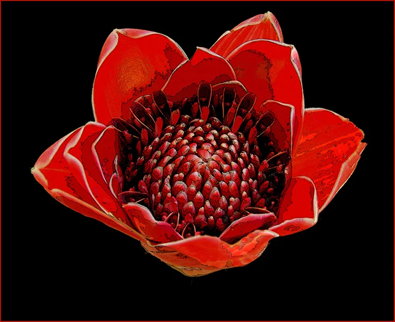 "Red Hot Ginger", by Ron Jackson FAPS