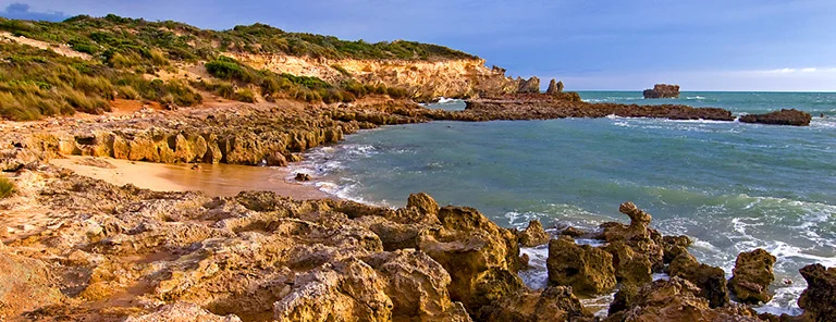 "Rainbow Bay" by Renee Holmes