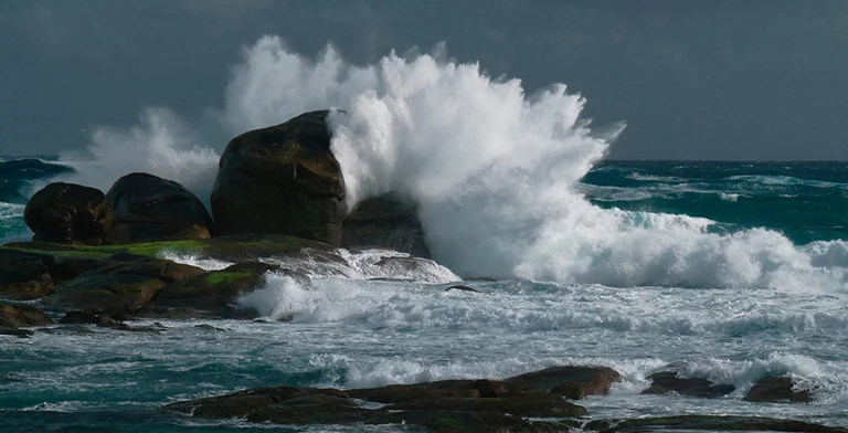 "Wild Waters" by Claude Mills