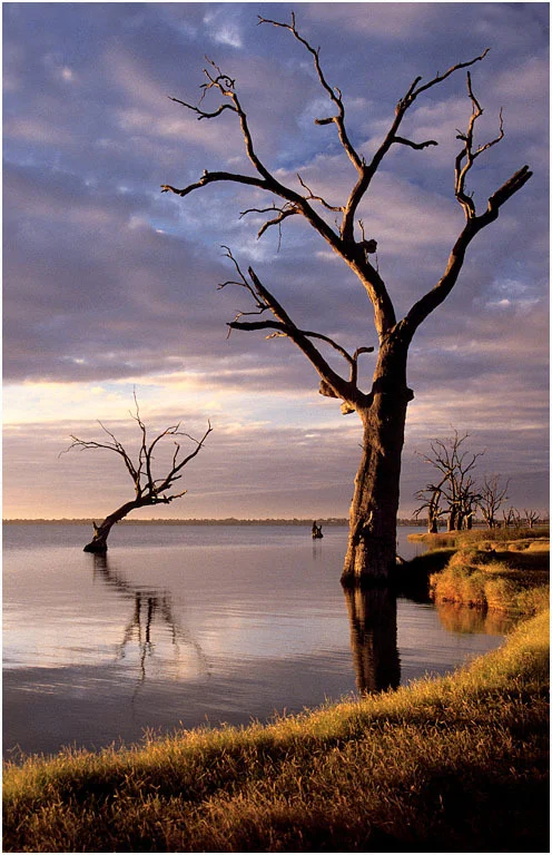 "Lake Bonney Dawn"