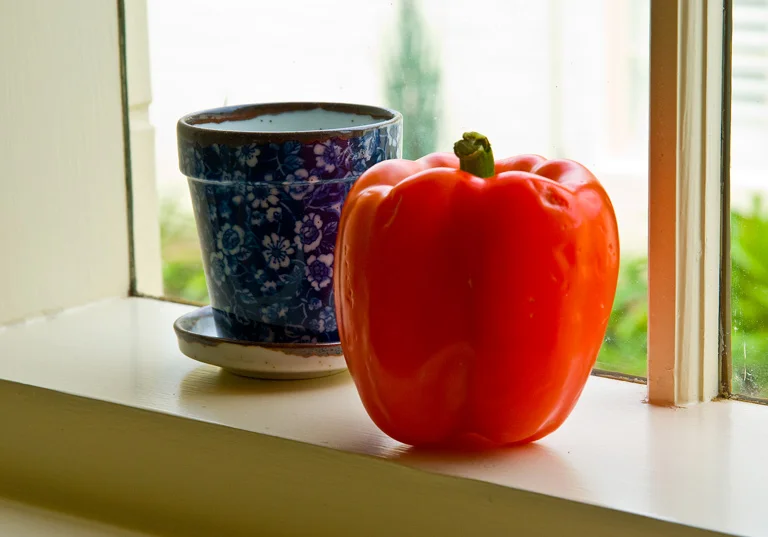Capsicum.jpg