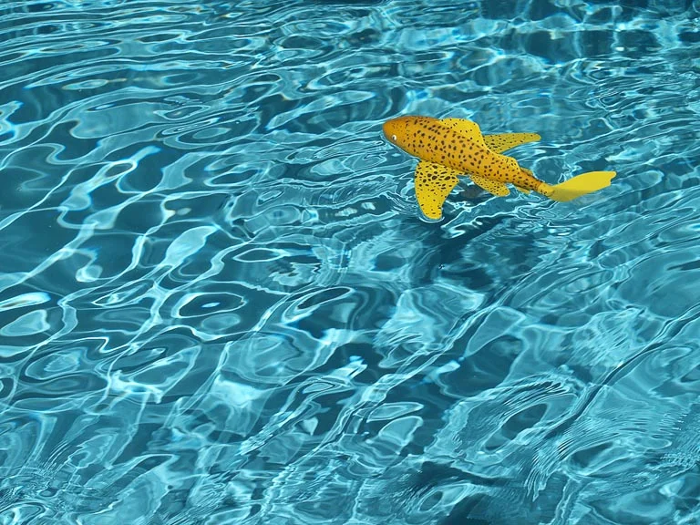 Waves in Pool