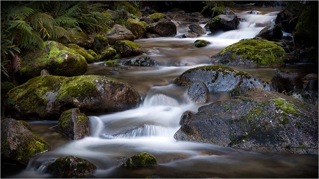 Cascades