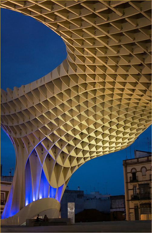Seville Mushroom