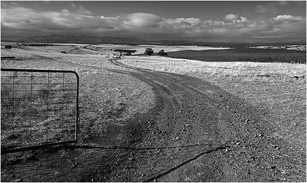 Pindarie Track