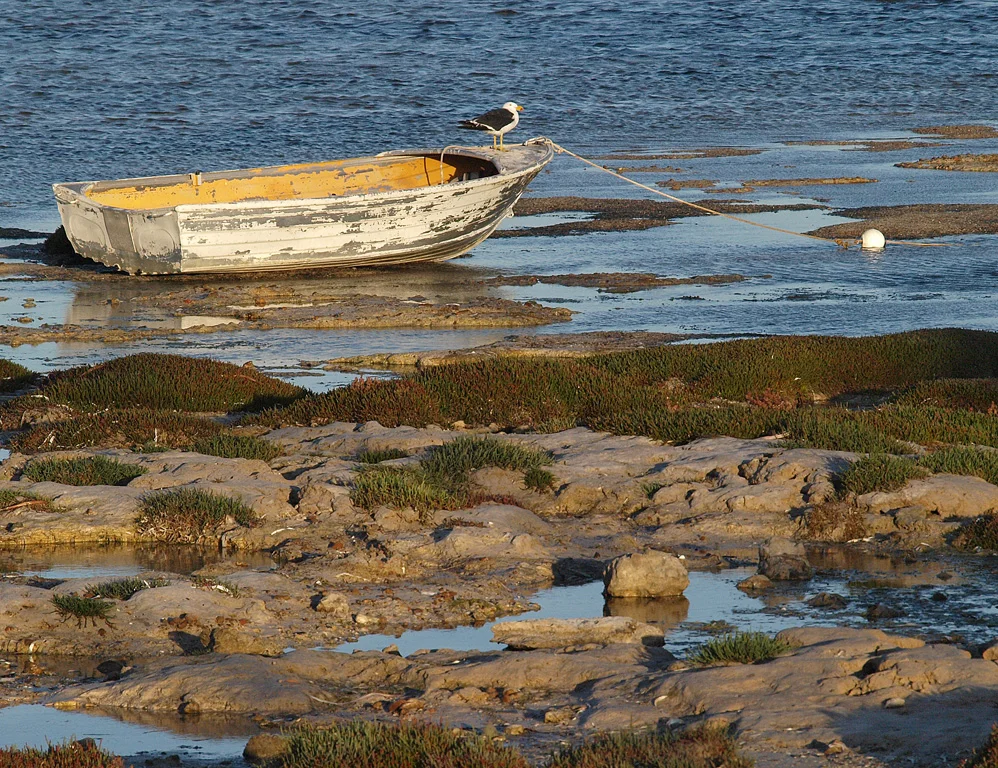 KarTer_Old_Boat.jpg