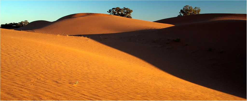 ronmariej1@iinet[net[au~PDI 3~PDI A Grade~4.jpg