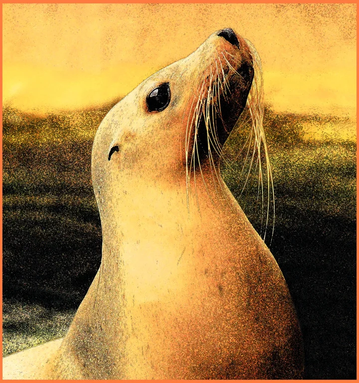 05_holren_5.3_seal_watercolour.jpg