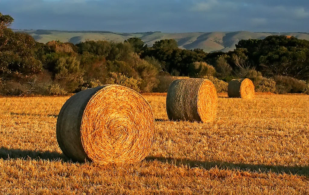 06_stybar_6.4_the_hayfield_at_dusk.jpg