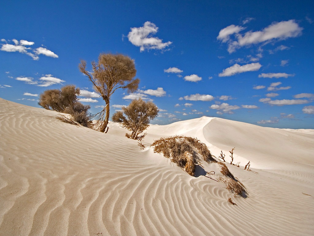 01_smidav_1.4_shifting_sands.jpg