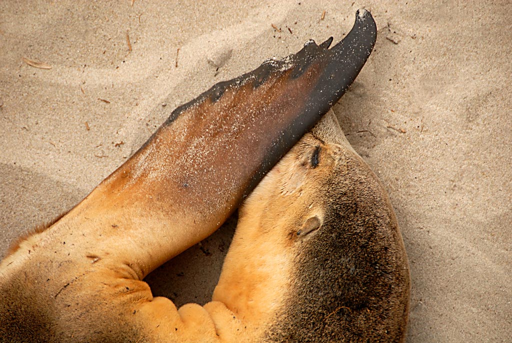03_holren_3.1_secret_seal.jpg