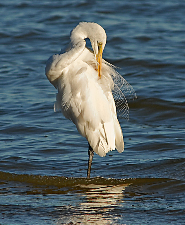03_holren_3.2_heron_scratch.jpg
