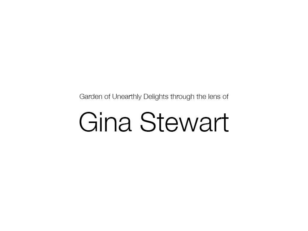 16 Gina.jpg