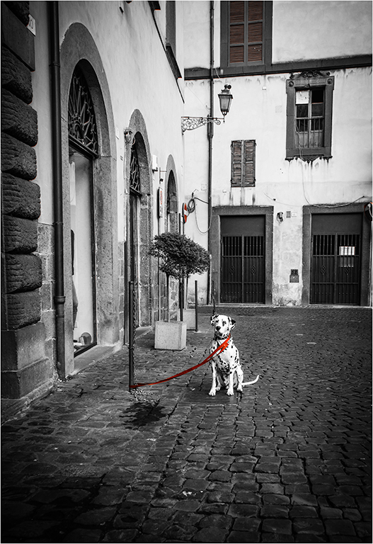 The Red Lead - Barbara Seidel