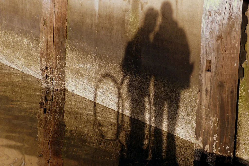 brooksda3@bigpond[com]1~PDI 5~PDI A Grade~2.jpg