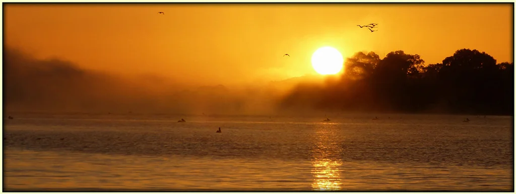 brooksda3@bigpond[com]1~PDI 6~PDI A Grade~3.jpg