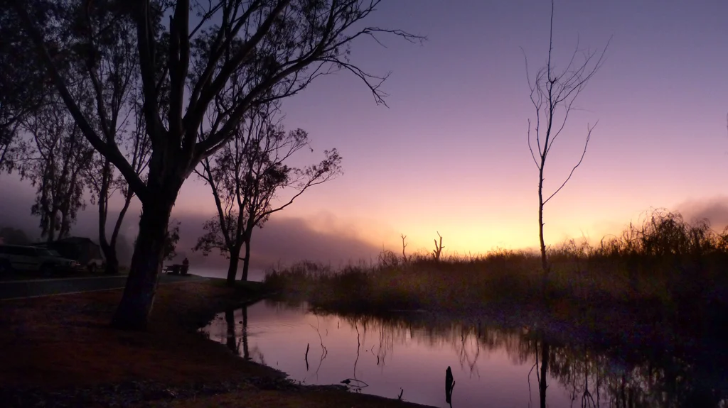 brooksda3@bigpond[com]1~PDI 6~PDI A Grade~2.jpg