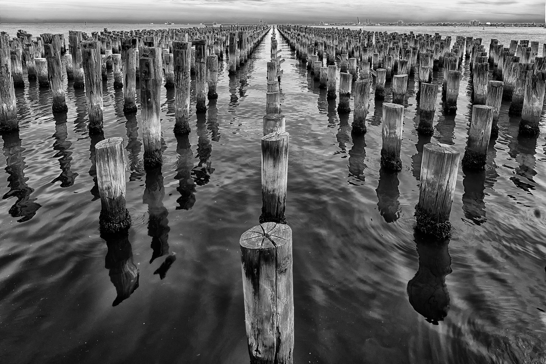 Paul O'Leary,7 1 Stumped,27,Print - Monochrome Open Print - Monochrome Open.jpg